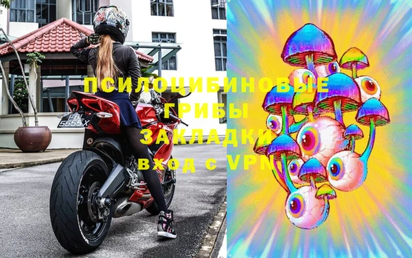 гашик Вязники
