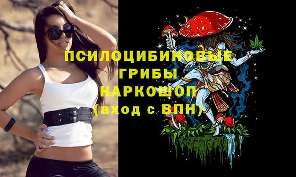 кокс Вяземский