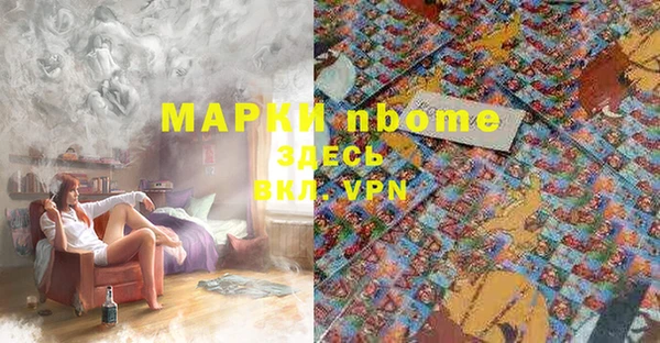 гашик Вязники