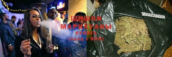 прущие грибы Горно-Алтайск