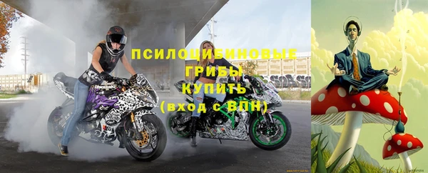 гашик Вязники