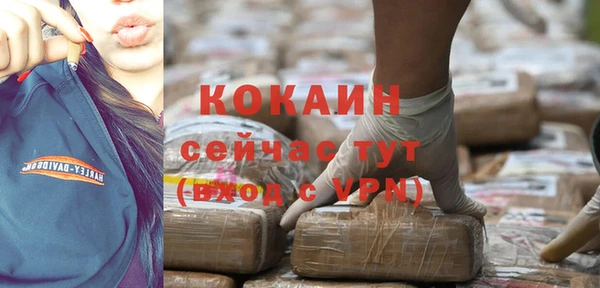 кокс Вяземский