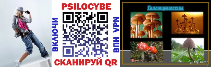 Галлюциногенные грибы Magic Shrooms  Купить где  Нерехта 