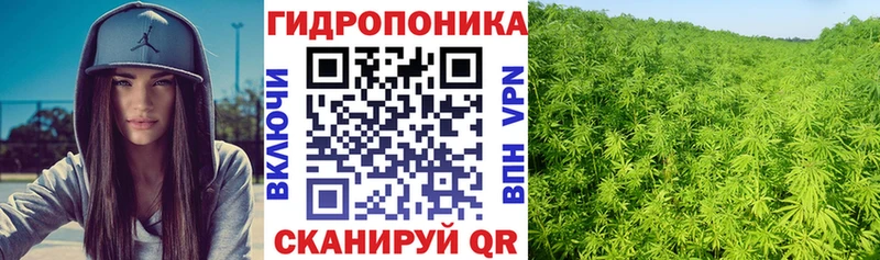 МАРИХУАНА VHQ  Купить  Нерехта 